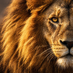 The Power of Teamwork: Lions vs. Leopards